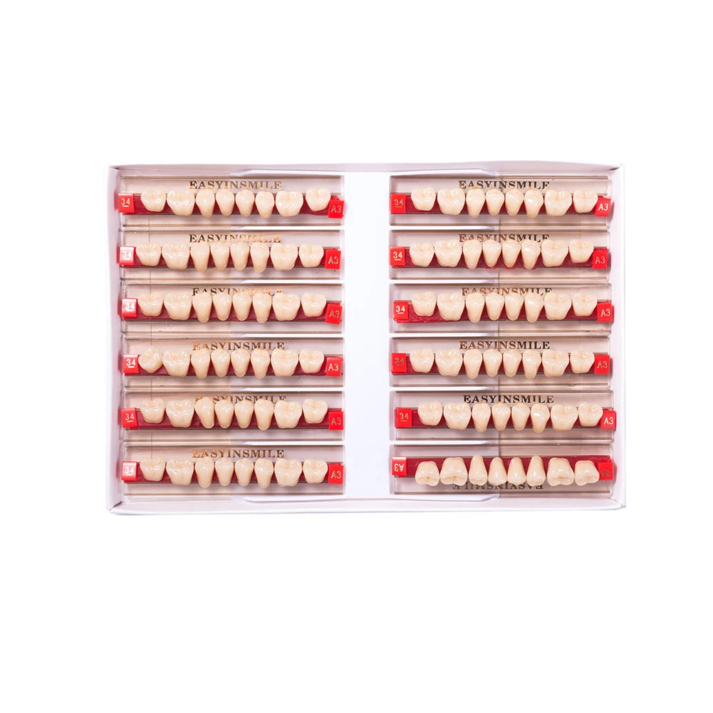 16/12 Sets/ Box Dental Teeth Anterior Posterior Polymer Denture acrylic Tooth A2 A3 2 Layers Dentistry Materials Education Model