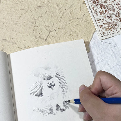 SeamiArt 12 Pcs. Standard Sketching Pencil Art Suppliers for Artist Drawing School Office Lapices De Colores Pencils Supplies