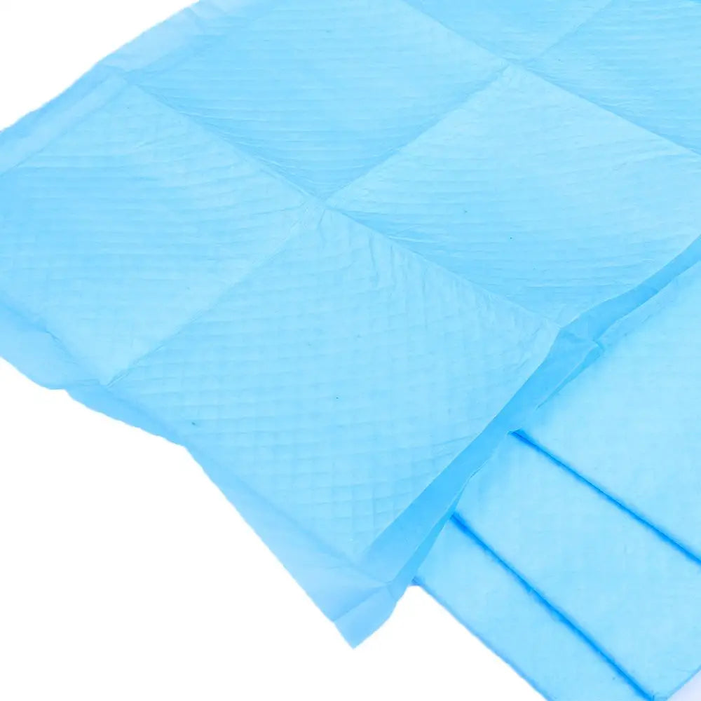 Disposable Indoor Small Toilet Pets Puppy 20 Pieces Dog Absorbent Diapers Mat Pee Pads