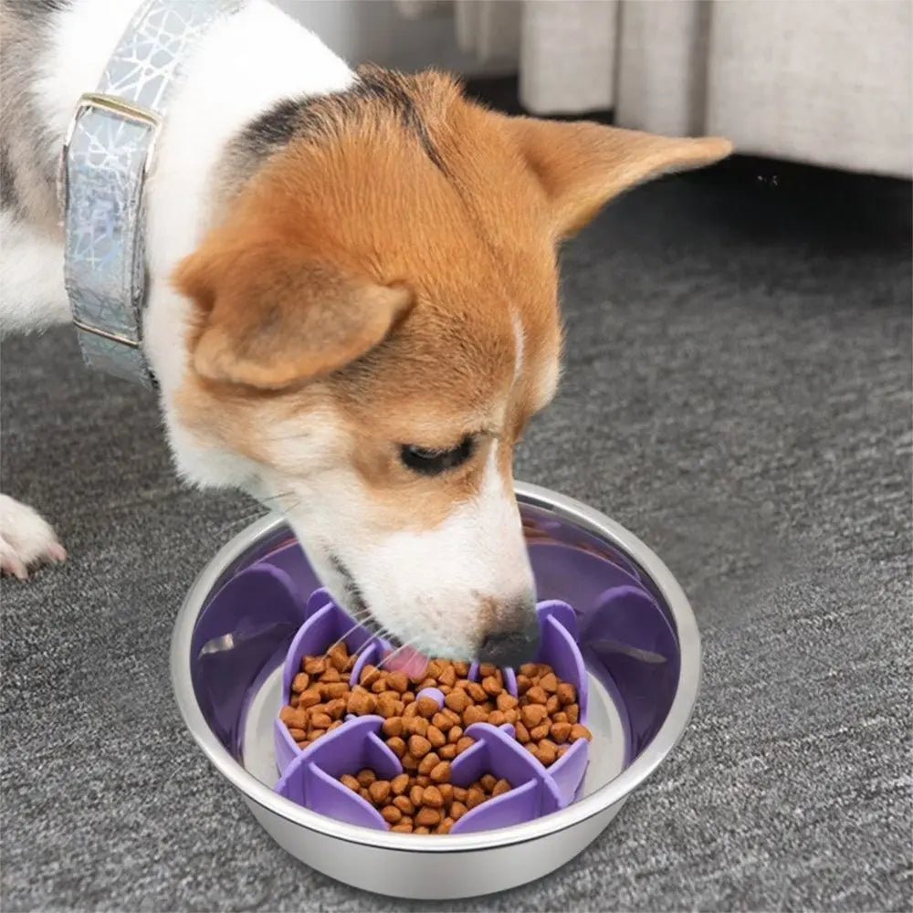 Convenient Silicone Dog Slow Feeder Anti Choking Soft Pet Slow Food Bowl Nonslip Wear Resistant Puppy Feeding Bowl for Pet