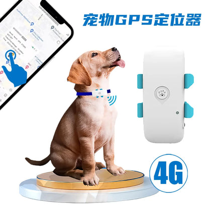 Pet GPS Tracking Locator, 4G, Global Cat and Dog, Remote Viewing App