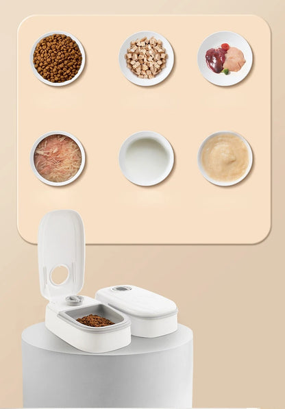 Pet Automatic Timing Feeder Detachable Auto Dog Dry Food Dispenser Smart Pet Food Feeder Timed for Cats Dogs