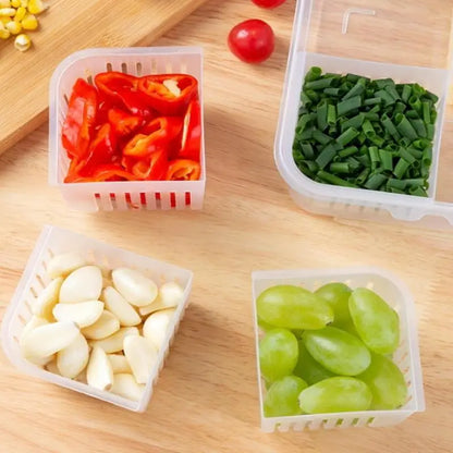 4 Grid Refrigerator Storage Box Food Vegetable Fridge Organizer Drain Basket Meat Onion Ginger Crisper