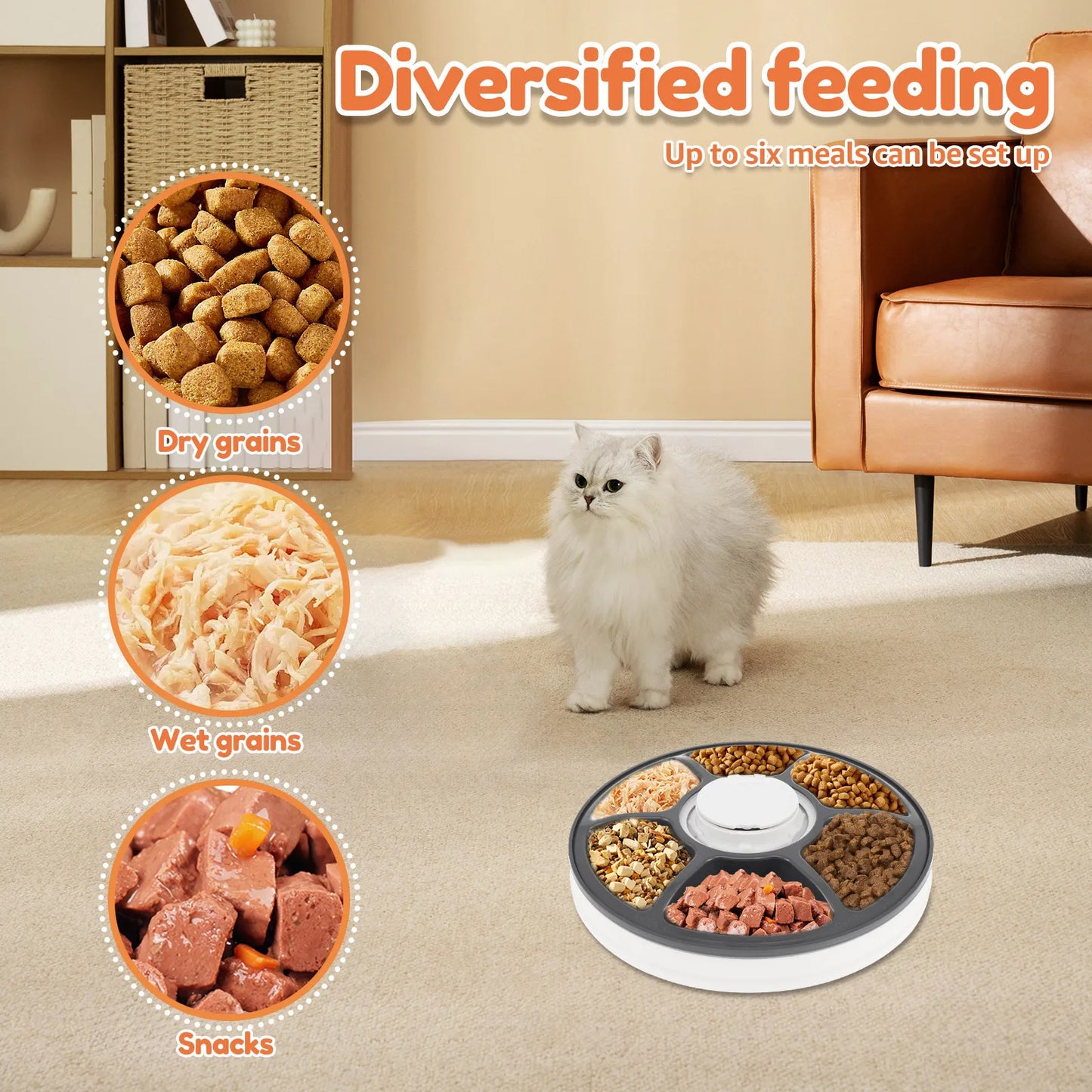 Automatic Pet Feeder 6-Grids 24 Hour Timing Wet/Dry Snacks Feeding Device Battery Powered For Cats Dogs Foods Dispenser NEW