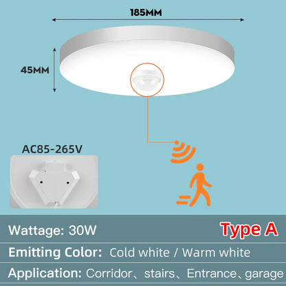Led Ceiling Lamp With Motion Sensor 40W 30W 20W 18W 15W 12W Led Ceiling Light Fixtures For Entrance Balcony Corridor 110V 220V