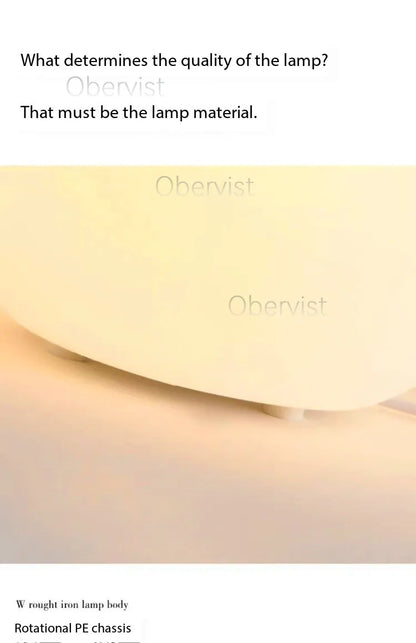 Decorative Ball Table Lamp Bedside Nightlight Girls Ins Gift Atmosphere Lamp Romantic Warm Children's Room Desk Bedroom Floor La