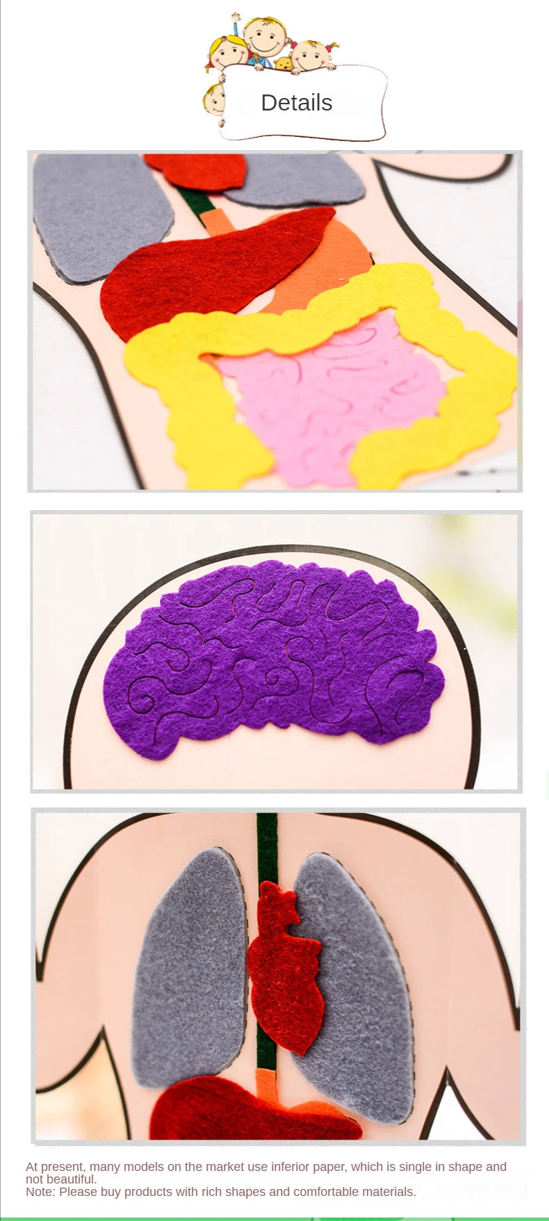 Biology teacher accessories DIY Organ Teaching Aids Scholar kit Home School Biological Science Educational Toys For Children  88