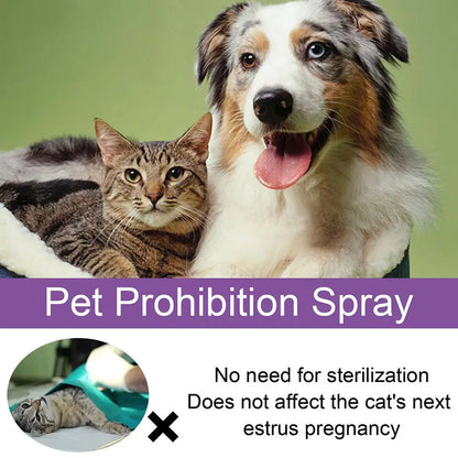 Pet Calming Spray Pet Supplies Pets Pheromone Calming Spray Improve Estrus Agitation Pet Anxiety Relief Spray Cat Dog Health