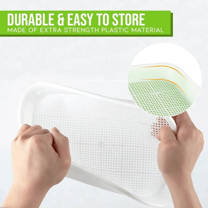 Microgreens Sprouter Tray Hydroponic / Sprouting Tray For Sprouts Vegetable Horticultural Garden DIY Nursery Potted