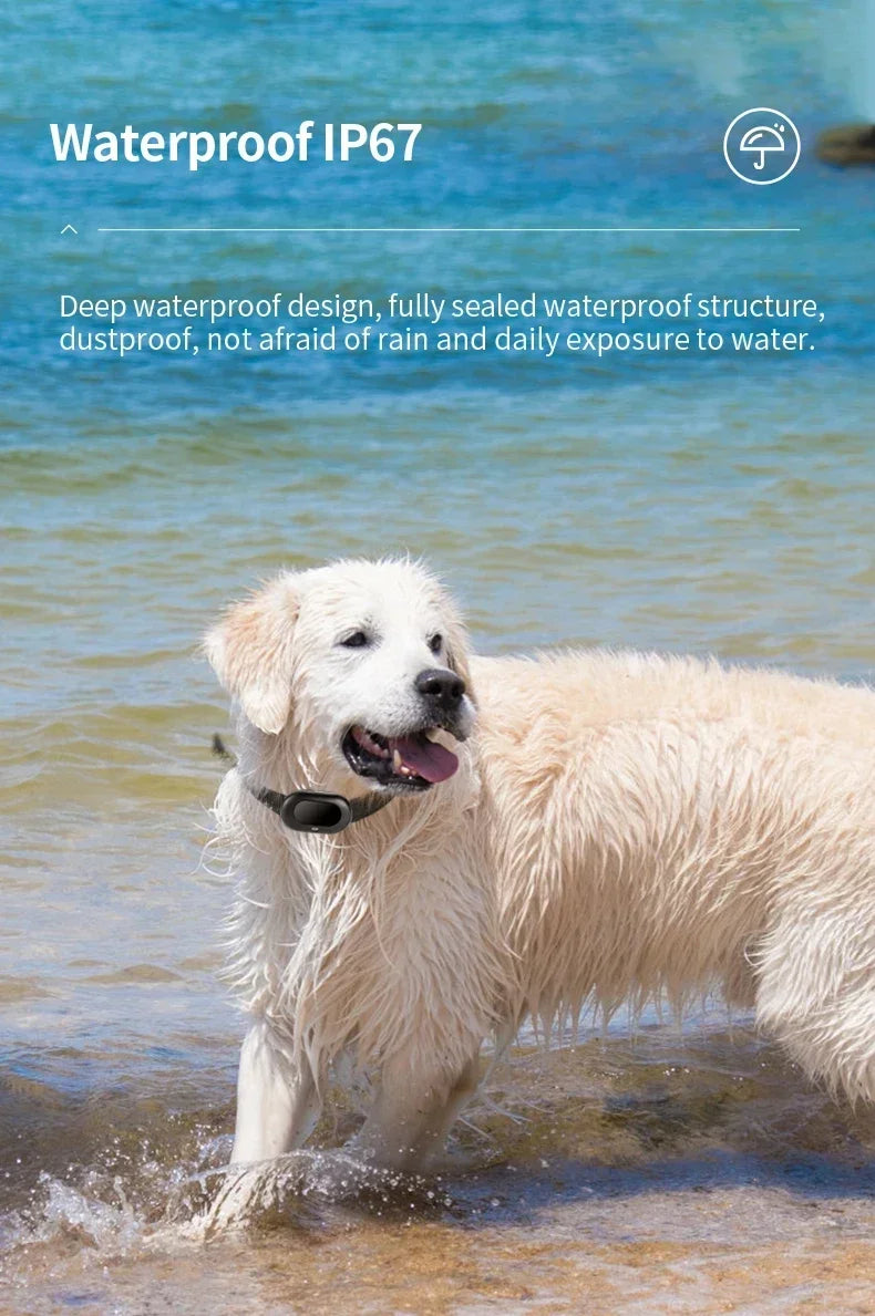 2G/ 4G GSM GPS Pet Tracker Voice Monitor, Pet Dog Gps Anti Loss Mini Tracker IP67 Waterproof Built-in 1300 MAh Battery Locator