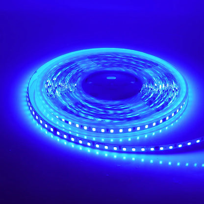 5m 10m 20m 50m LED Strip Light AC 220V 230V 240V IP55 2835 120 LEDs Flexible Ribbon Rope Lights Tape 9 Colors Home Decoration
