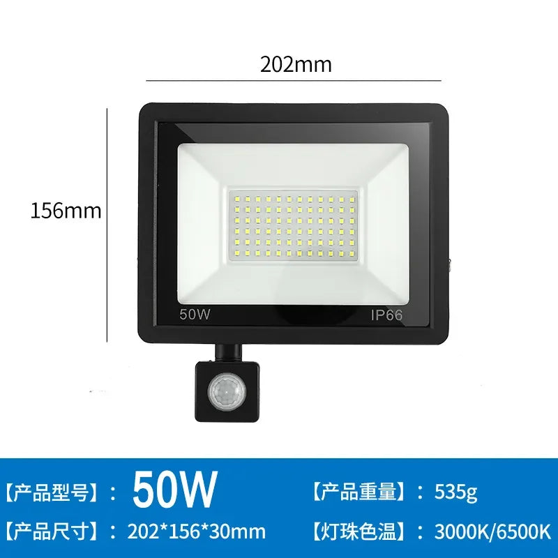 LED Floodlights 100W 50W 30W 20W 10W PIR Motion Sensor IP66 Waterproof LED 220V Hanging Exterior Outdoor Wall Lamp Spotlight