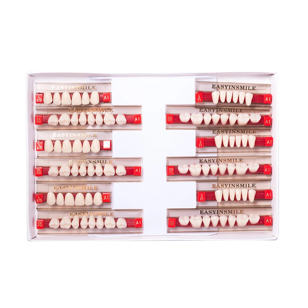 16/12 Sets/ Box Dental Teeth Anterior Posterior Polymer Denture acrylic Tooth A2 A3 2 Layers Dentistry Materials Education Model