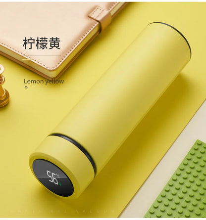 2024 New Temperature Display Thermos Keeps Cold And Heat Thermal Bottle Stainless Steel Thermos For Baby Children Kids Terms