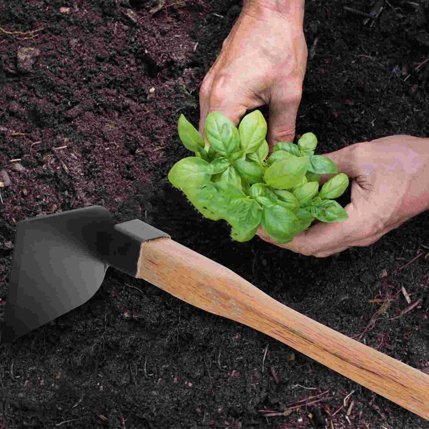 Iron Gardening Cultivator Manual Wooden Handle Agriculture Hoe Vegetable Farming Tool Weeding Hoe