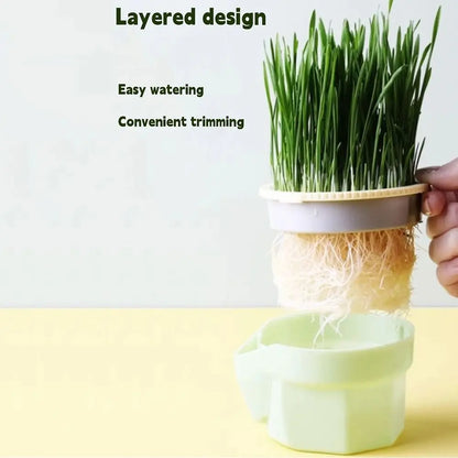 Hydroponic Cat Grass Box Planter Reusable Easy To Grow Microgreens Growing Kit Hierarchical Design Cat Grass Growing Pot