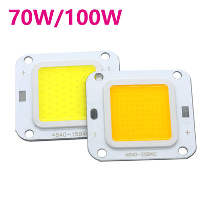 Smart IC No Need Driver LED COB Lamp Bead DC27-36V 10W 50W 60W 70W DIY Flood Light Bulb Outdoor Spotlight Landscape Chip Lamps