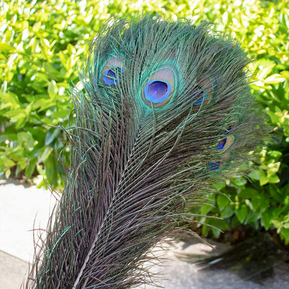 Natural Peacock Feathers 25-70cm for Crafts, Wedding Decorations, Home Décor, Fashion Accessories, and Party Decorations