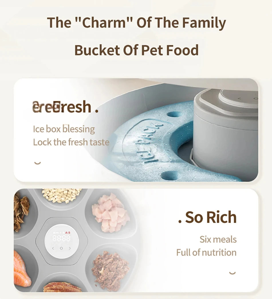 6 Meals Automatic Pet Feeder Smart Cat Food Dispenser For Wet & Dry Food Kibble Dispenser Accessories