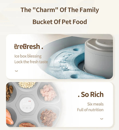 6 Meals Automatic Pet Feeder Smart Cat Food Dispenser For Wet & Dry Food Kibble Dispenser Accessories