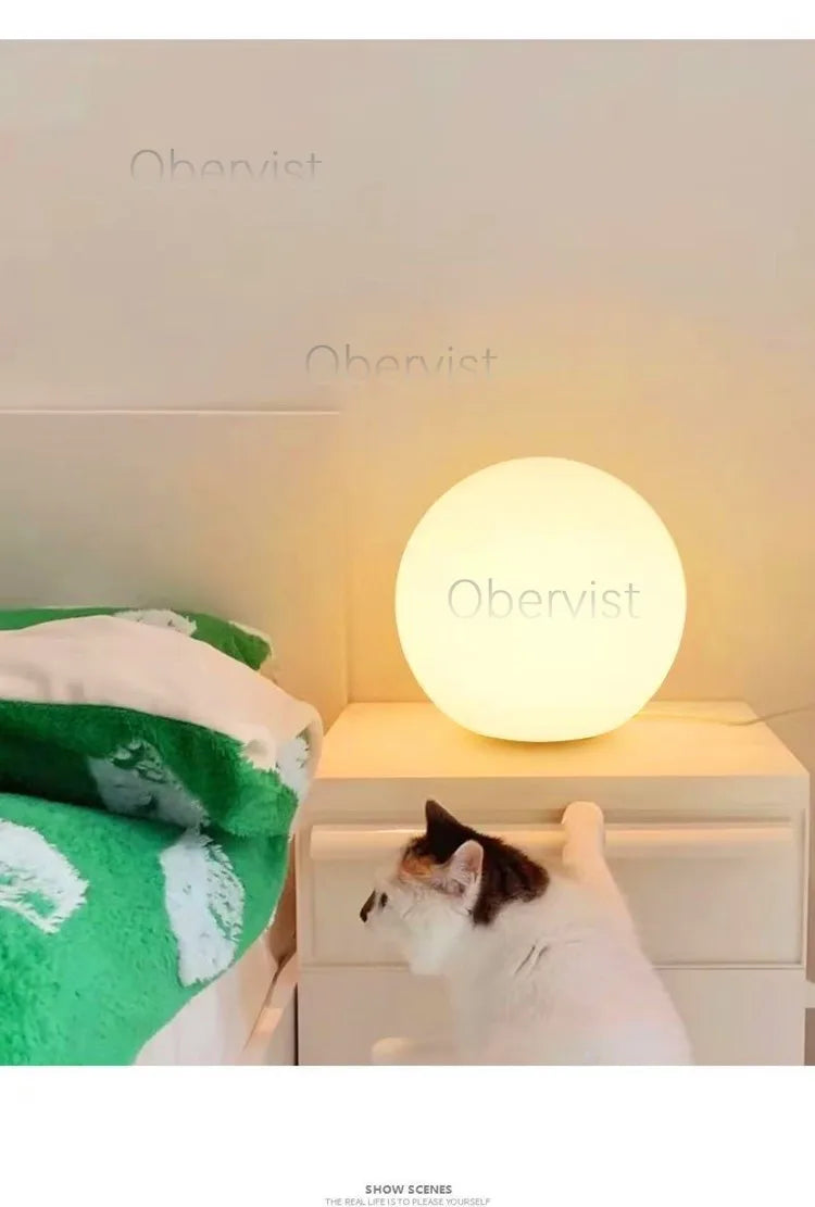 Decorative Ball Table Lamp Bedside Nightlight Girls Ins Gift Atmosphere Lamp Romantic Warm Children's Room Desk Bedroom Floor La