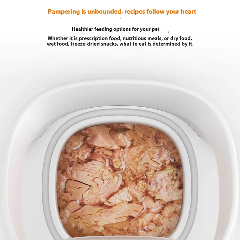 Smart Microchip Pet Timing Feeder Bowl Cats Dog Multi Pets Homes Intelligent Automatic Food Timed Feeder Supplies