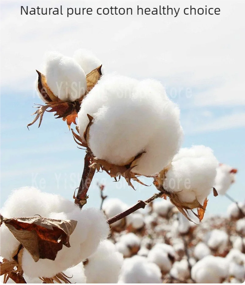 Men's Sports Boxing Shorts Underwear S M L XL Breathable Fitness Sports Men's boxers underwear Boxers Comfortable