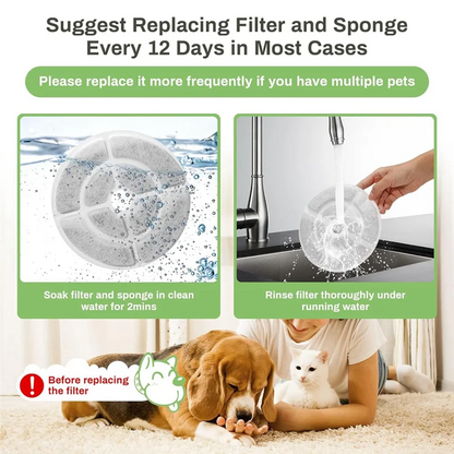 Replacement Cat Water Fountain Filters For 2.5Gal/9.5L Dog Water Fountain Activated Pet Fountain Filters And Sponges 6+6M12K