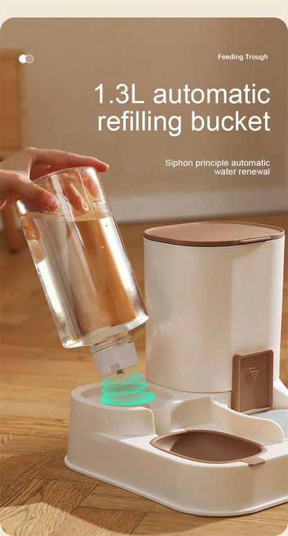 Pet Cat Automatic Feeder, Water Dispenser, Large Capacity Dry Wet Separation Food Container, Pet Supplies