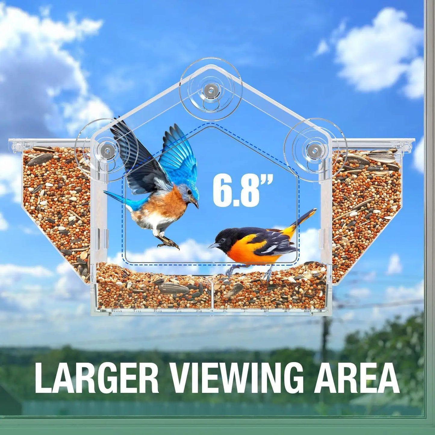 Bird Feeder Removable Food Storage Tray Transparent for Bird Watching Birdfeeder for Backyard Outdoor Lawn Patio Lovebirds