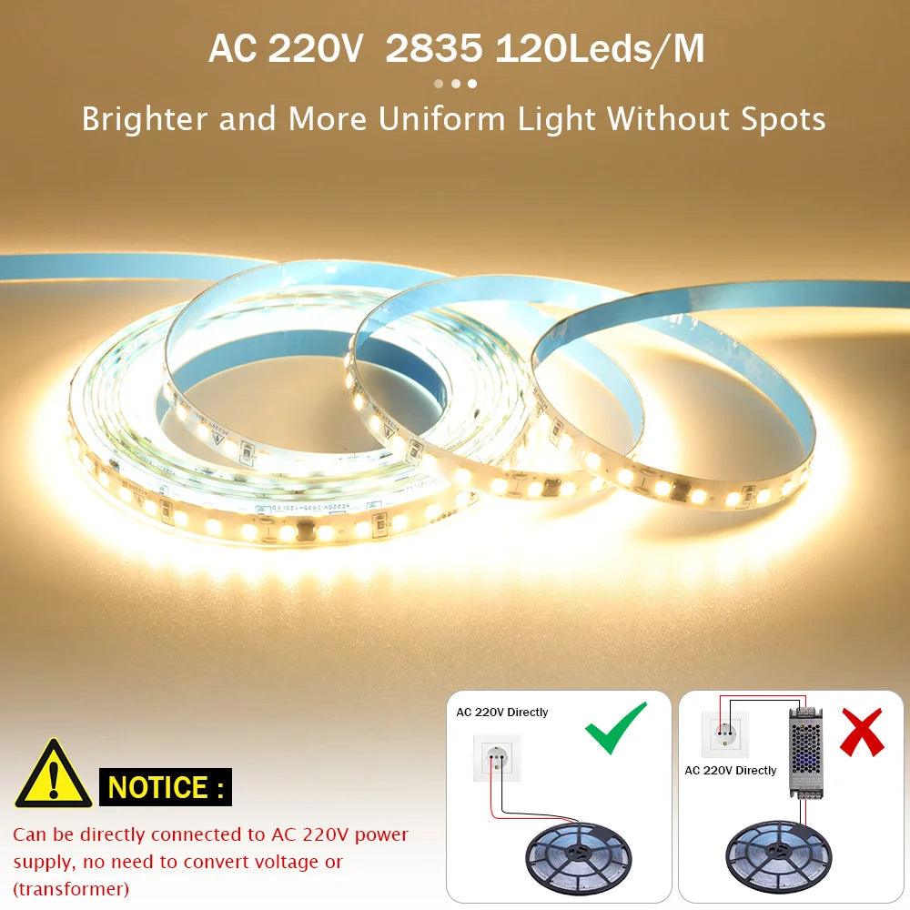5m 10m 20m 50m LED Strip Light AC 220V 230V 240V IP55 2835 120 LEDs Flexible Ribbon Rope Lights Tape 9 Colors Home Decoration