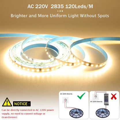 5m 10m 20m 50m LED Strip Light AC 220V 230V 240V IP55 2835 120 LEDs Flexible Ribbon Rope Lights Tape 9 Colors Home Decoration