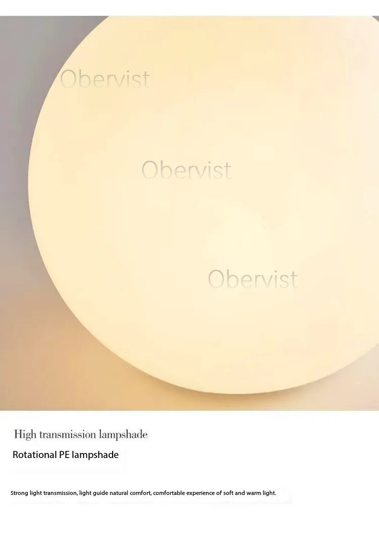 Decorative Ball Table Lamp Bedside Nightlight Girls Ins Gift Atmosphere Lamp Romantic Warm Children's Room Desk Bedroom Floor La