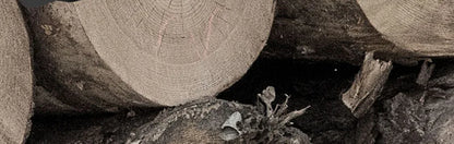 220V Plug-in Electric Saw Home Small Handheld Felling Saw Electric Chain Saw Cutting Saw Portable Electric Saw Chain Electric Sa