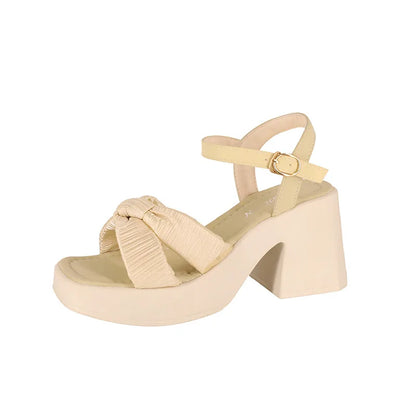 Women Platform Sandals Summer Ladies Wedge Platform High Heels Fashion Elegant New Women Causal Beach Sandals Versatile Open-toe