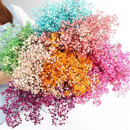 130g Natural Dried Preserved Flowers Babys Breath Home Decoration Natrual Gypsophila Wedding Decor Artificial Flower Photo Props