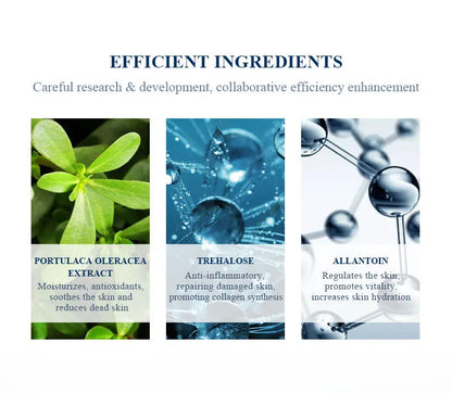 BELYN BERLY Face Serum 3Pcs/Lot Hyaluronic Acid + Vitamin C + 24k Gold Serum Moisturizing Spot White Facial Serum