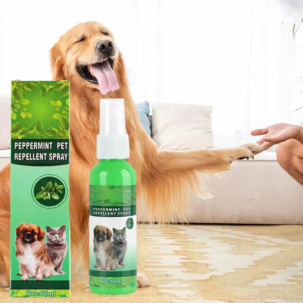 60ml Pet Pest Spray Pet Dog Anti-flea Mites Ticks Drops Kitten Pest Treatment Treatment Flea Puppy Kitten Puppy Spray