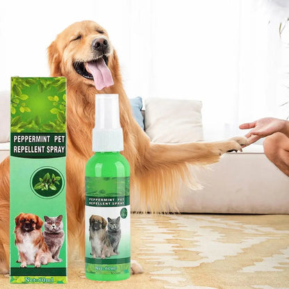 60ml Pet Pest Spray Pet Dog Anti-flea Mites Ticks Drops Kitten Pest Treatment Treatment Flea Puppy Kitten Puppy Spray