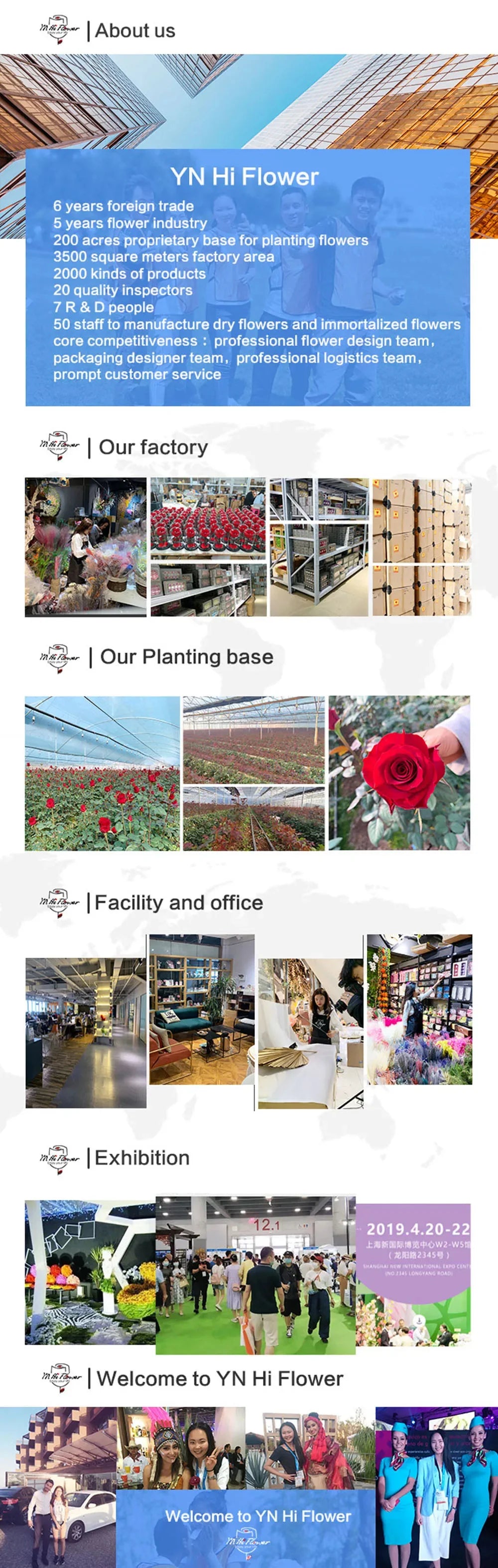 130g Natural Dried Preserved Flowers Babys Breath Home Decoration Natrual Gypsophila Wedding Decor Artificial Flower Photo Props