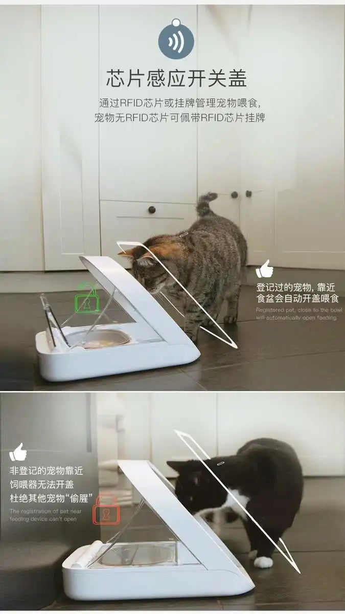Surefeed smart chip recognition induction multi-cat automatic feeder wet food preservation pet cat bowl insect control gift chip