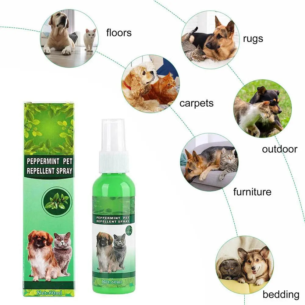 60ml Pet Pest Spray Pet Dog Anti-flea Mites Ticks Drops Kitten Pest Treatment Treatment Flea Puppy Kitten Puppy Spray