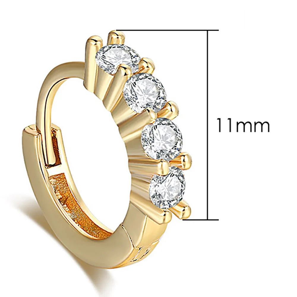 Tragus Piercing Earring For Women Butterfly Snake Daith Piercing Tragus Helix Ear Ring Cartilage Stainless Steel Earrings 1PC