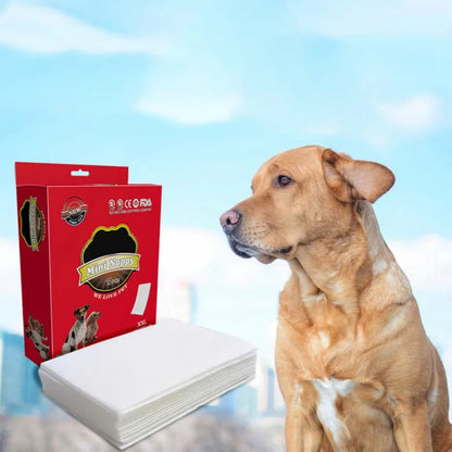 10 Pcs/Bag Dog Diaper Liners Diaper Pads for Male and Female Dogs Disposable Detachable Diaper Anti Leaking Clean Safe for Dogs