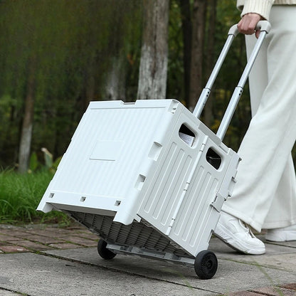 Multi functional camping vehicle, large capacity, portable, foldable, adjustable handle, outdoor picnic folding vehicle