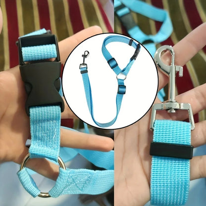 Secure Your Pet in the Car with This Adjustable Harness & Seat Belt Lead Leash!