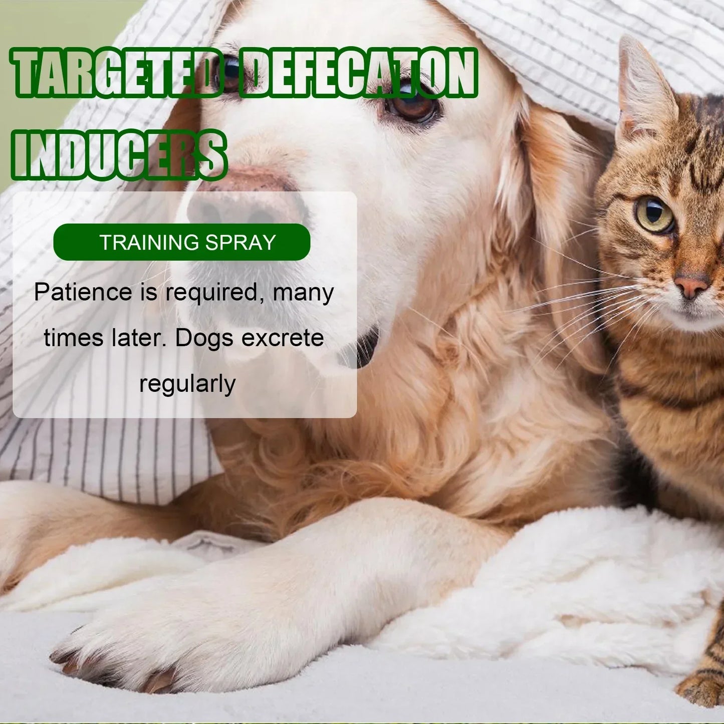 Pet Toilet Training Spray Inducer Dog Poops Cat Pee Positioning Defecation Puppy Stool Location Indoor Pet Potty Training Spray