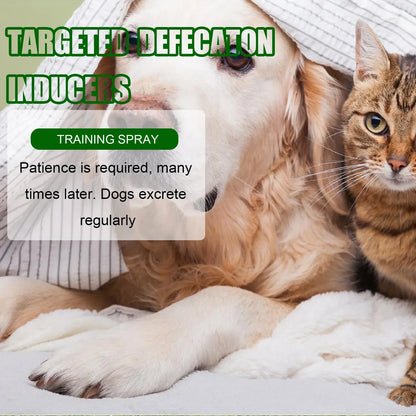 Pet Toilet Training Spray Inducer Dog Poops Cat Pee Positioning Defecation Puppy Stool Location Indoor Pet Potty Training Spray