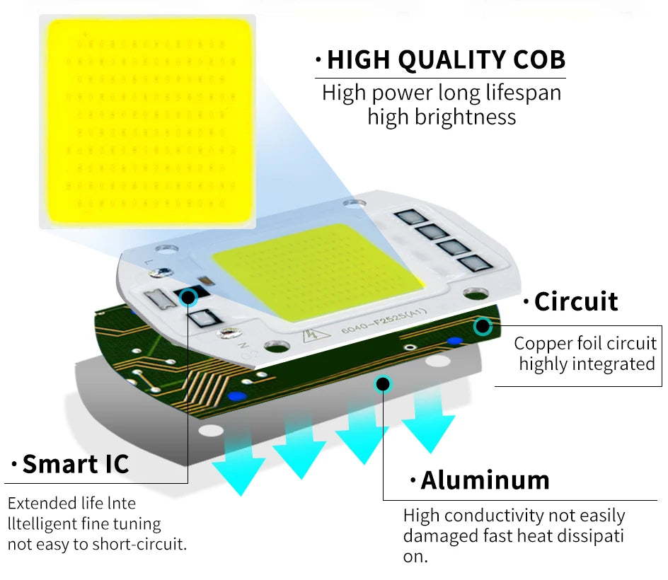 COB Chip LED Lamp 220V 10W 20W 30W 50W Smart IC No Need Driver Lampada LED Bulb Lamp For Flood Light Spotlight Diy Lighting