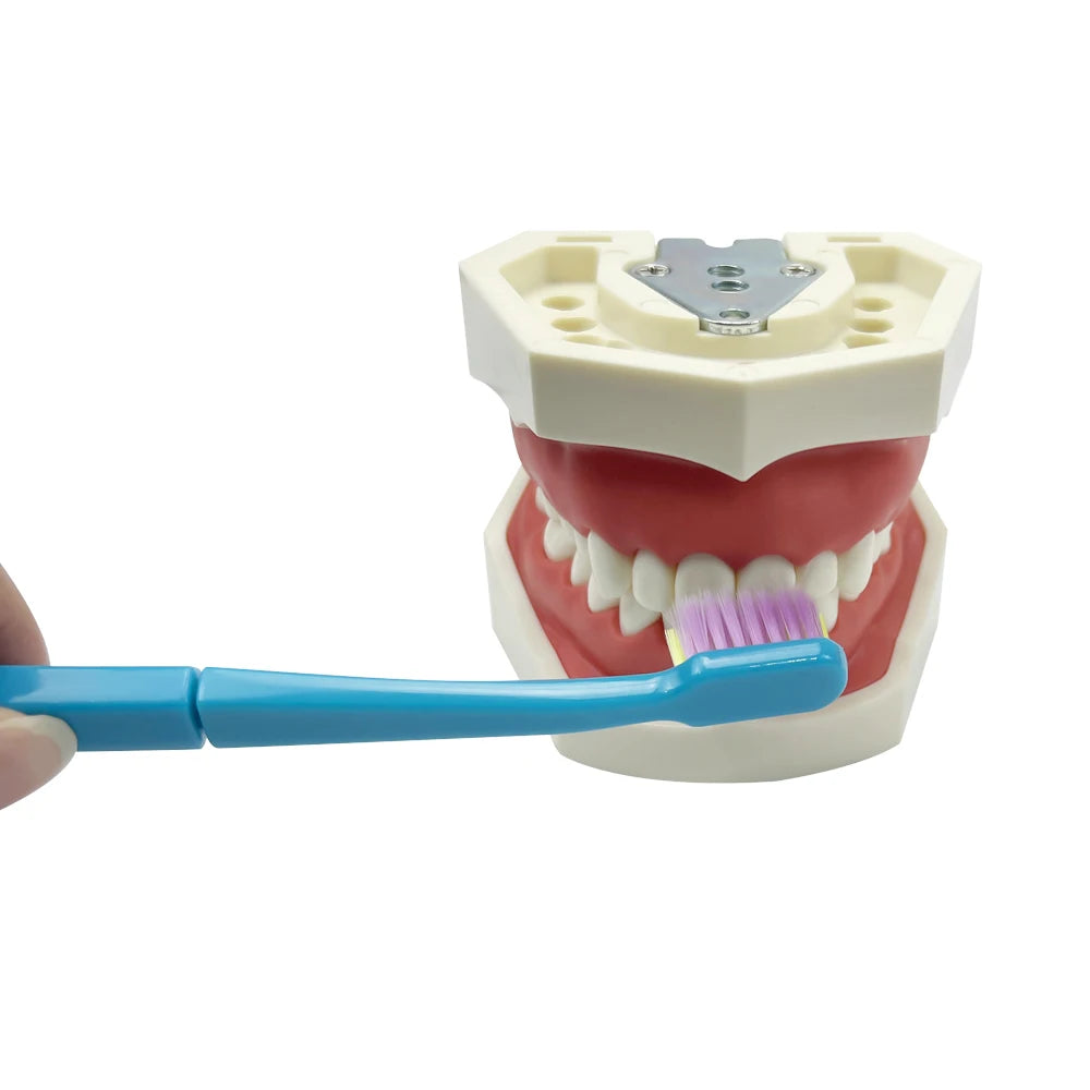 1 Box Portable Travel Dental Cleaning Set Oral Cleaning Care Toothbrush Interdental Brush Teeth Whitening Orthodontic Care Kit